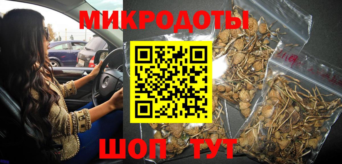 Галлюциногенные грибы GOLDEN TEACHER  где можно купить наркотик  Елизово  Галлюциногенные грибы мицелий  Вход с VPN 