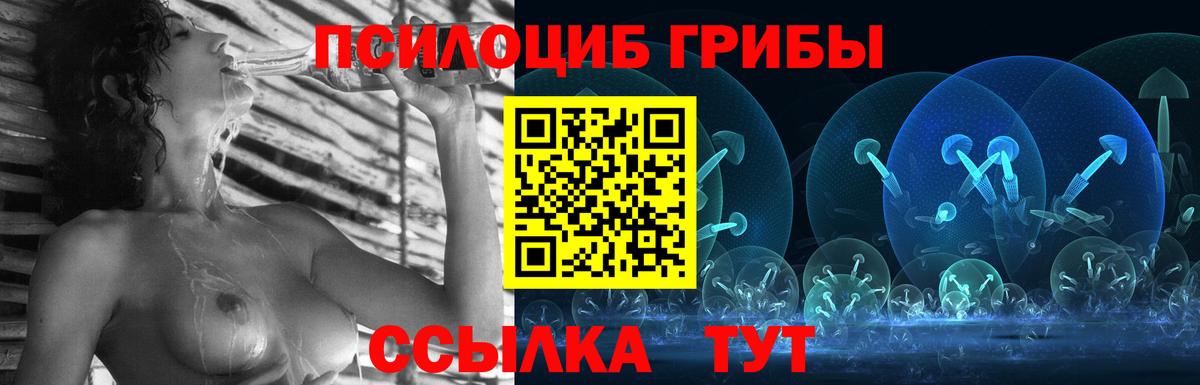 Псилоцибиновые грибы Psilocybine cubensis Елизово